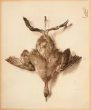 Oiseau pendu par les pattes by Félix Bracquemond, Plume et encre brune, sold Oct 2024