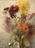 Etude de chrysanthèmes by Marie Bracquemond, Aquarelle sur trait de crayon, sold Oct 2024