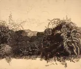 Coq sur un muret aux herbes sauvages by Félix Bracquemond, Plume et encre brune, lavis gris sur traits de crayon, sold Oct 2024