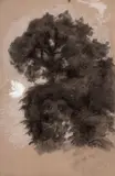 Etude d’arbres by Félix Bracquemond, Pinceau et encre noire, fusain, estompe et rehauts de gouache et craie blanche sur papier rose, sold Oct 2024