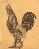 Etude de coq by Félix Bracquemond, Crayon, plume et encre brune sur papier calque, sold Oct 2024