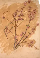 Étude de branchages fleuris by Marie Bracquemond, Huile et crayon sur papier, sold Oct 2024