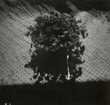 Bouquet, c. 1935 by dite Dora Maar Henriette Theodora Markovitch, Épreuve argentique d'époque, tirée par contact, contrecollée sur une pochette en papier cristal,, sold Dec 2024