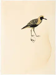 In Jayatu's Forest II by Atul Dodiya, Watercolour on paper, offered Sep 2012