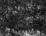Untitled by Paramjit Singh, Charcoal on paper, offered May 2012