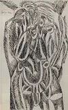 Untitled by F. N. Souza, Ink on paper, sold Apr 2012