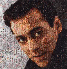 Ommatidia II (Salman Khan) by Rashid Rana, Digital C print on paper, sold Nov 2012