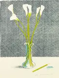The Lilies by David Hockney, 1971, Lithograph in colours on Japan paper, offered Feb 2012