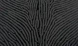 Traces by A. Balasubramaniam, Stencil, acrylic and silicon on canvas, sold Dec 2011