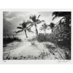Estero Island by Clyde Butcher, gelatin silver print, sold May 2026