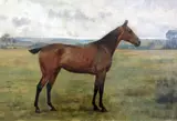 Portrait of a horse in a field by George Goodwin Kilburne, oil on canvas, sold Dec 2015