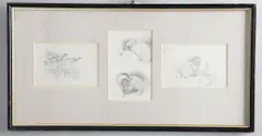 Grouse - Badger - Hare, Three Framed Studies by Archibald Thorburn, pencil drawings, sold Oct 2026
