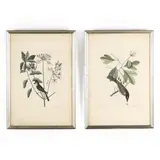 Two Prints from The Natural History of Carolina, Florida and The Bahama Islands, 1731-1743 by Mark Catesby, Hand-colored etchings, sold Apr 2021