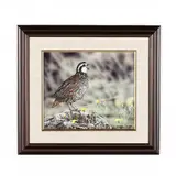 Portrait of a Quail by Danny O'Driscoll, Acrylic on panel, sold Apr 2021