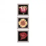 Three Large Floral Photographs by Harold Feinstein, Each a color photograph, sold Apr 2021
