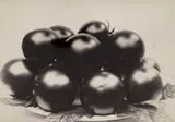 Tomato Perfection by Charles Jones, 1900, Gelatin silver printing-out-paper print, offered Oct 2026
