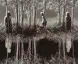 Small Woods Where I Met Myself (Final Version) by Jerry Uelsmann, 1967, Gelatin silver print, offered Oct 2026