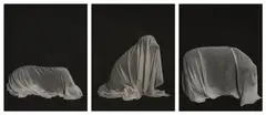Man Ray Under Sheet by William Wegman, 1976, Gelatin silver print triptych, sold Oct 2026