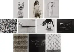 Improved Photographs by William Wegman, 1979, New York: Multiples, Inc., 1979. Ten gelatin silver prints with silkscreen embellishment, offered Oct 2026
