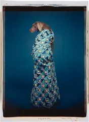 Fay De La Ray by William Wegman, 1990, Unique Polaroid print, flush-mounted, sold Oct 2026