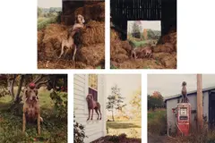 Selected Images from the Ghent Portfolio by William Wegman, 1990, Five chromogenic prints, sold Oct 2026