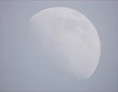 Moon by Roe Ethridge, 2003, Chromogenic print, flush-mounted, sold Oct 2026