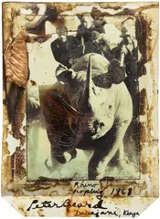Rhino Roping by Peter Beard, 1968, Unique Polaroid print with applied blood and affixed leaf, executed later, offered Oct 2026