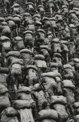 Gold Mine, Serra Pelada, Brazil (Miners' Backs) by Sebastião Salgado, 1986, Gelatin silver print, printed later, sold Oct 2026