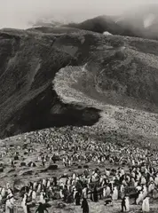 Bailey Head, Deception Island, Antarctic Peninsula by Sebastião Salgado, 2005, Gelatin silver print, printed 2007, sold Oct 2026