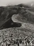 Bailey Head, Deception Island, Antarctic Peninsula by Sebastião Salgado, 2005, Gelatin silver print, printed 2007, sold Oct 2026