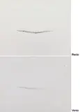 Untitled by Nasreen Mohamedi, Ink and pencil on card paper, sold Sep 2011
