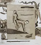 Mr. George and the Lizard (Variation on the Theme of St. George and the Dragon) by Surendran Nair, Etching and aquatint on paper, sold May 2011