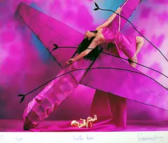 Untitled by Sudarshan Shetty, Archival print on paper, sold May 2011
