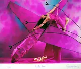 Untitled by Sudarshan Shetty, Archival print on paper, sold May 2011