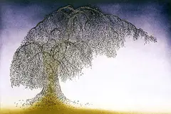 A Tree by Paramjit Singh, Etching on paper, offered May 2011