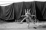 Devi by Saibal Das, Silver gelatin print on archival fiber based bromide paper, sold May 2011
