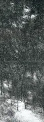 Untitled by Paramjit Singh, Charcoal on paper, sold Apr 2011