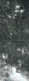 Untitled by Paramjit Singh, Charcoal on paper, sold Apr 2011