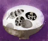 Birds eggs and feathers in a bowl on mauve by Mary Fedden, 1987, gouache and watercolour, sold Dec 2015