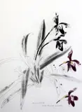 Coloured etching by Elizabeth Blackadder, etching, sold Dec 2015