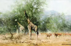 Curiosity by David Shepherd, oil on canvas, sold Apr 2015