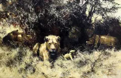 Lions by David Shepherd, oil on canvas, sold Apr 2015