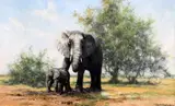 Elephants and acacia by David Shepherd, oil on canvas, sold Apr 2015