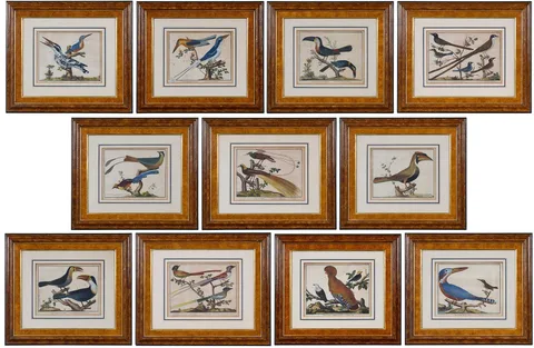 Eleven Ornithological Engravings by François Nicolas Martinet, 1760, hand-colored engravings and etchings on laid paper, sold Feb 2026