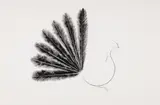 Feather-tailed Grouse by Benjamin Chee Chee, 1975, acrylic on paper, sold Sep 2016