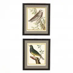 Two Engravings from Histoire Naturelle des Oiseaux by François-Nicolas Martinet, Hand-colored engravings, sold Apr 2021