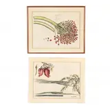 Two Botanical Prints from Hortus Malabaricus (Garden of Malabar) by Hendrick Adriaan van Rheede, Hand-colored engraving, sold Mar 2021