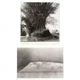 Bamboo Avenue, St. Elizabeth, Jamaica and On Lake Pontchartrain, Louisiana by Guy Mendes, Each a gelatin silver print, sold Feb 2021