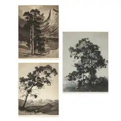 Three Etchings by George Elbert Burr, Etching and drypoint, sold Feb 2021