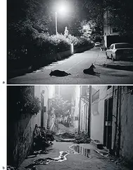 Untitled (Nizamuddin at Night) by Gauri Gill, Silver gelatin prints, sold Feb 2011